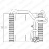 DELPHI TSP0525019 Evaporator, air conditioning